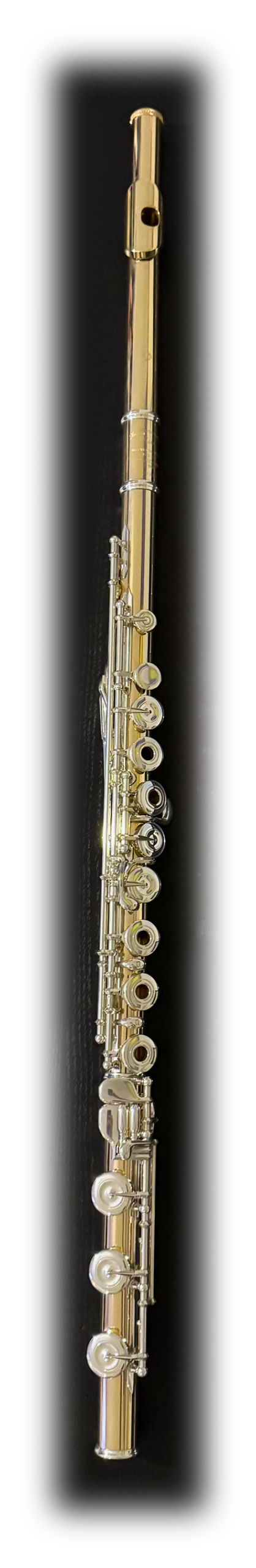 Flauta Muramatsu 14K